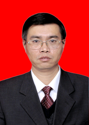 副主席：李  岐